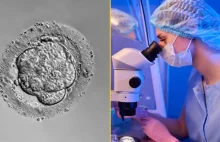 Naukowcy dokonali przełomu? Stworzono coś, co uważano za niemożliwe