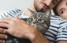 Naukowcy potwierdzili niezwykły związek między posiadaniem kota a schizofrenią -