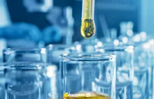 Przełom w diagnostyce raka? Test krwi wykrywa ponad 50 nowotworów