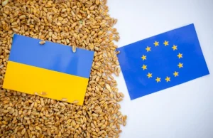 Handel z Ukrainą. Polski postulat ma zostać spełniony