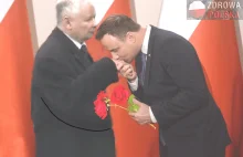 Już mamy pewność! Nie, Andrzej Duda nie całuje w rękę Jarosława Kaczyńskiego