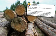 Nagły zwrot ws. przepisów o wycince drzew na prywatnej działce