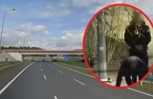 Śląsk: Na autostradzie A1 skradziono przewody ze stu latarni. Straty to 100 tys.