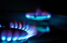 Wspólne, hurtowe zakupy gazu przez UE zdały pierwszy test.