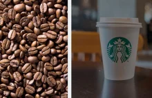 Starbucks wygenerował dla inwestorów prawie 40 000%