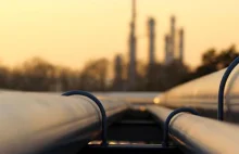 Tu przestajesz być człowiekiem. Szokujący raport o izbie wytrzeźwień