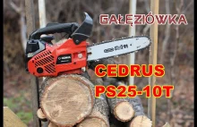 Cedrus PS25-10T Pilarka spalinowa - Mała i lekka gałęziowa - Test