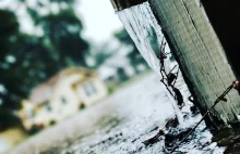 Kto zapłaci za powódź?