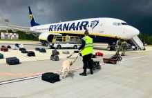 Białorusini uprowadzili samolot Ryanair. Polska wystawi za nimi listy gończe