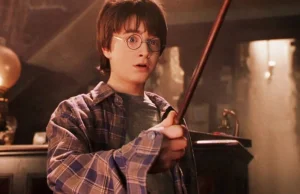 Harry Potter to męska bajka dla białych?