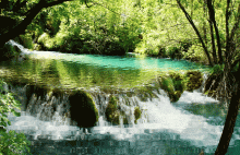 Ksiądz twierdzi, że ekologizm powoduje popęd seksualny