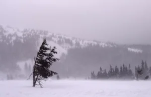 Takiego huraganu w Norwegii nie było od 30 lat. Wiatr z prędkością 185 km/h