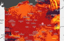 Cała Polska na czerwono. IBL ostrzega, ekstremalnie duże zagrożenie pożarowe.
