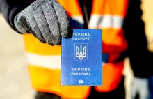 Ukrainiec organizował nielegalne przekraczanie polskiej granicy