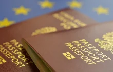 Prokuratura bada rosyjską rolę w zakupie oprogramowania dla systemu granicznego