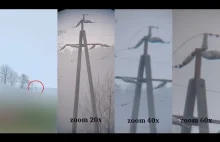 Luneta obserwacyjna Crivit zoom 20