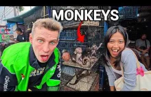 Wewnątrz NIELEGALNEGO targu zwierząt egzotycznych w Dżakarcie