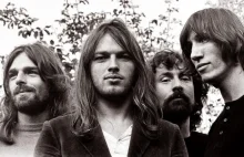 Mistrz riffów, kolekcjoner gitar, legenda rocka David Gilmour z Pink Floyd