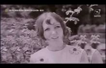 ALIBABKI -Kwiat Jednej Nocy-1969