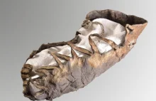 Liczący ponad 2000 lat but dziecka znaleziony w kopalni soli