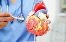 "Łaty" na sercu. Rewolucyjna metoda regeneracji po zawałach