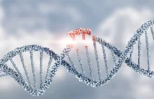 Odkryty CRISPR może mieć praktyczne zastosowanie