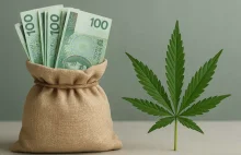 Ile Polska wydaje na nieskuteczną walkę z marihuaną?