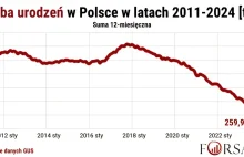 Nowe dane GUS są jednoznaczne: demografia Polski w ruinie