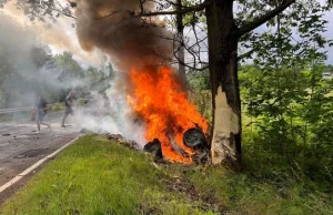 Auto uderzyło w drzewo i spłonęło. Śmiertelny wypadek w Bartnicy