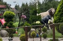 Jeleń to za mało! Właścicielu nieruchomości przy drodze, szanuj oczy kierowców!