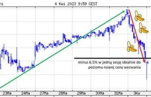 Magiczny spadek kursu spółki z GPW dzień przed ważną informacją