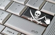 Piraci z Internetu nie ukryją się za adresem IP przed służbami. Opinia rzecznika
