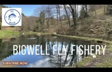 Bigwell Fly Fishery - Wędkarstwo muchowe w UK