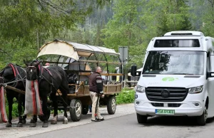 Bus nad Morskie Oko zachwycił turystów! Góralski jęk niesie się między turniami