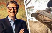 Bill Gates chce ocalić planetę poprzez wycinanie i zakopywanie drzew