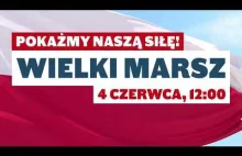 Masz dość ich kłamstw, złodziejstwa i korupcji?