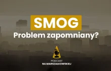 Jak Polska będzie może walczyć ze smogiem? Zaniedbaliśmy temat?