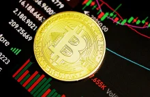 7 powodów dla których notowania bitcoin pójdą w górę na nowe szczyty