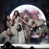 Cenzura na Eurowizji ? Organizatorzy zagłuszyli buczenie widowni