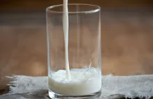 Było już „mleko” z soi i nerkowców. Teraz przyszła pora na mleko…z ?!