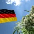 Niemcy właśnie zalegalizowały posiadanie i uprawę marihuany!