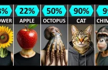 Porównanie zbieżności ludzkiego DNA ze zwierzętami.