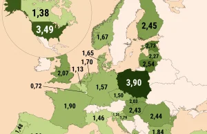 Ile państwa NATO wydają na wojsko? Polska liderem, Zachód nie spełnia wymogów