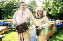 Polscy pszczelarze masowo likwidują pasieki. Rynek zalewa "miód techniczny"