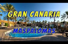 Really? There are no canaries in the Canary Islands? #travel #vlog