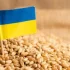 Wielka korupcja w ukraińskim Sanepidzie. 160 tys. dolarów łapówek miesięcznie