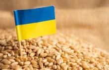 Wielka korupcja w ukraińskim Sanepidzie. 160 tys. dolarów łapówek miesięcznie