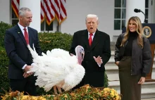 Nocna wachta: Duńczycy monitorują Trumpa