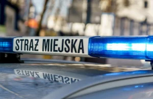 Nastolatek skatował komendanta straży miejskiej za zwrócenie uwagi - Kraków