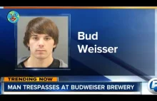 Bud Weisser w wytwórni Budweiser